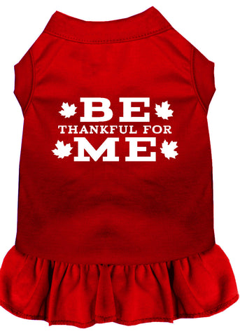 Be Thankful for Me Screen Print Dress Red XXXL (20)