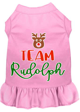 Team Rudolph Screen Print Dog Dress Light Pink XXXL