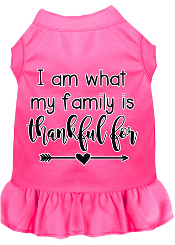 I Am What My Family is Thankful For Screen Print Dog Dress Bright Pink XXXL