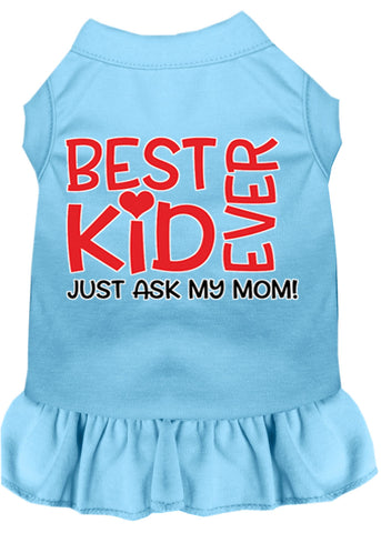 Ask My Mom Screen Print Dog Dress Baby Blue XXXL (20)