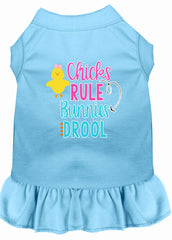 Chicks Rule Screen Print Dog Dress Baby Blue XXXL (20)