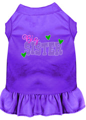 Big Sister Screen Print Dog Dress Purple XXXL