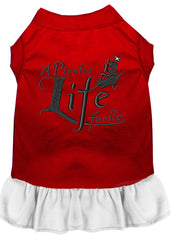 A Pirate's Life Embroidered Dog Dress Red with White XXXL 