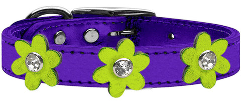 Metallic Flower Leather Collar Metallic Purple With Metallic Flowers Size