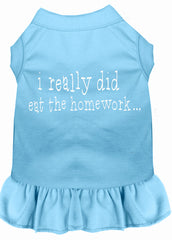 I really did eat the Homework Screen Print Dress Baby Blue XXXL (20)