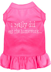 I really did eat the Homework Screen Print Dress Bright Pink XXXL (20)