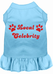 Local Celebrity Screen Print Dress Baby Blue XXXL (20)