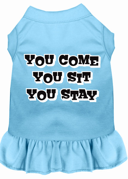 You Come, You Sit, You Stay Screen Print Dress Baby Blue XXXL (20)