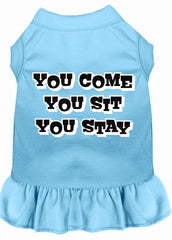 You Come, You Sit, You Stay Screen Print Dress Baby Blue XXXL (20)