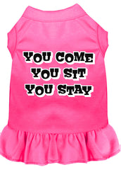 You Come, You Sit, You Stay Screen Print Dress Bright Pink XXXL (20)