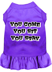 You Come, You Sit, You Stay Screen Print Dress Purple XXXL (20)