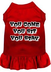 You Come, You Sit, You Stay Screen Print Dress Red XXXL (20)