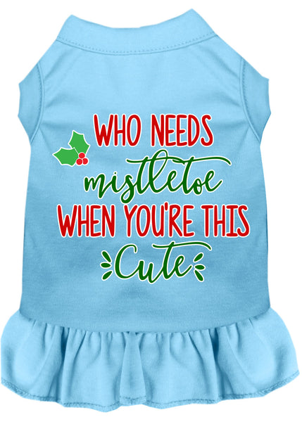 Who Needs Mistletoe Screen Print Dog Dress Baby Blue XXXL