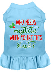 Who Needs Mistletoe Screen Print Dog Dress Baby Blue XXXL