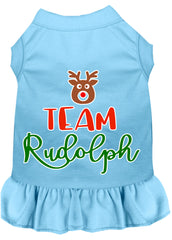 Team Rudolph Screen Print Dog Dress Baby Blue XXXL