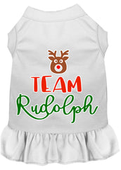 Team Rudolph Screen Print Dog Dress White XXXL