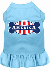 Bonely in America Screen Print Dress Baby Blue XXXL (20)