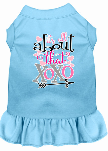 All about the XOXO Screen Print Dog Dress Baby Blue XXXL