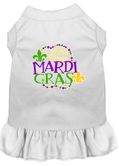 Miss Mardi Gras Screen Print Mardi Gras Dog Dress White XXXL