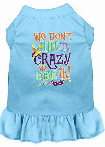 We Don't Hide the Crazy Screen Print Mardi Gras Dog Dress Baby Blue XXXL