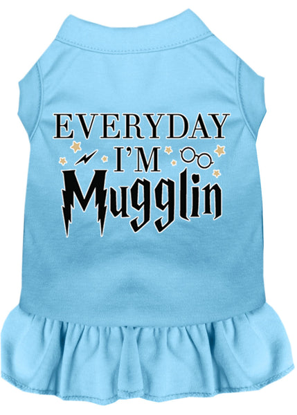 Everyday I'm Mugglin Screen Print Dog Dress Baby Blue XXXL (20)