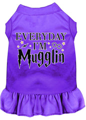 Everyday I'm Mugglin Screen Print Dog Dress Purple XXXL (20)