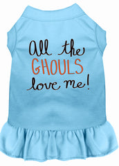 All the Ghouls Screen Print Dog Dress Baby Blue XXXL (20)