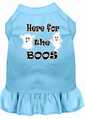 Here for the Boos Screen Print Dog Dress Baby Blue XXXL (20)