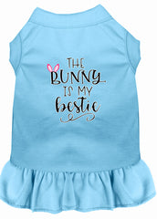 Bunny is my Bestie Screen Print Dog Dress Baby Blue XXXL (20)