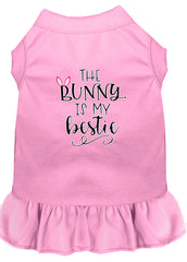 Bunny is my Bestie Screen Print Dog Dress Light Pink XXXL (20)