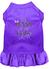 Bunny is my Bestie Screen Print Dog Dress Purple XXXL (20)