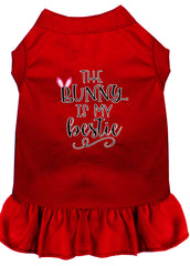 Bunny is my Bestie Screen Print Dog Dress Red XXXL (20)