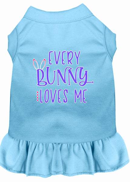 Every Bunny Loves me Screen Print Dog Dress Baby Blue XXXL (20)