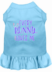 Every Bunny Loves me Screen Print Dog Dress Baby Blue XXXL (20)