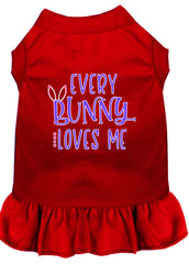 Every Bunny Loves me Screen Print Dog Dress Red XXXL (20)