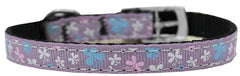 Butterfly Nylon Dog Collar With Classic Buckle 3/8" Size