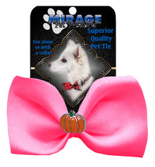 Pumpkin Widget Pet Bowtie