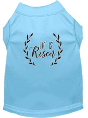 He Is Risen Screen Print Dog Shirt