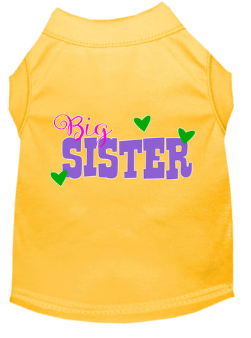 Big Sister Screen Print Dog Shirt