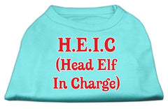 Head Elf In Charge Screen Print Shirt