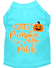 Cutest Pumpkin In The Patch Screen Print Dog Shirt