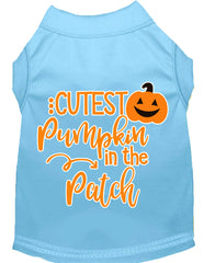 Cutest Pumpkin In The Patch Screen Print Dog Shirt