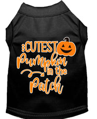 Cutest Pumpkin In The Patch Screen Print Dog Shirt