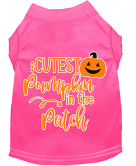 Cutest Pumpkin In The Patch Screen Print Dog Shirt