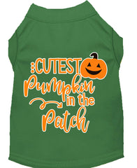 Cutest Pumpkin In The Patch Screen Print Dog Shirt