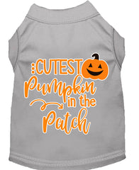 Cutest Pumpkin In The Patch Screen Print Dog Shirt