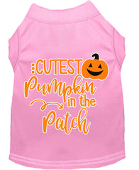 Cutest Pumpkin In The Patch Screen Print Dog Shirt