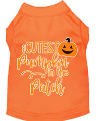 Cutest Pumpkin In The Patch Screen Print Dog Shirt