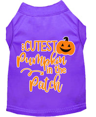 Cutest Pumpkin In The Patch Screen Print Dog Shirt