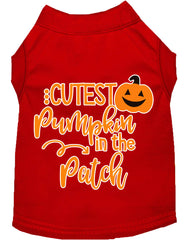 Cutest Pumpkin In The Patch Screen Print Dog Shirt